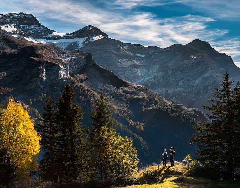 Unauth title BjvARBZT