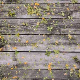 test-setup--Provider Two_big_logo.jpg