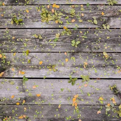 test-setup--Provider Two_big_logo.jpg